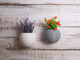 Textured Sphere/Globe Indoor Wall Planter, Wall Plant Pot, Wall Hanging, Home Decor, Plant Homeware, New Home Gifts, Wall Art, New Home Gift