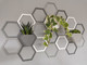 Elevate your home décor with our honeycomb wall planter system. Arrange hexagons in various patterns and enjoy a stylish display of your favourite plants.