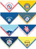 2026 Jamboree - Staff Committee Neckerchief - Full Set