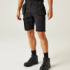 Regatta Incursion Holster Shorts