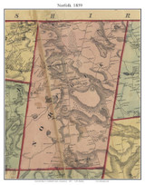 Norfolk Connecticut 1859 Old Town Map Custom Print - Litchfield Co.
