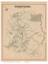 Norwood, Massachusetts 1876 Old Town Map Reprint - Norfolk Co.