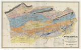 Wythe County Virginia 1890 - Old Map Reprint