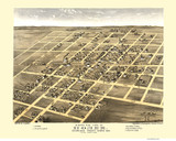 Homer, Illinois 1869 Bird's Eye View