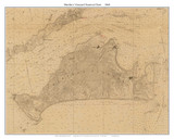 Martha's Vineyard Nautical Chart 1860 US Coast Survey - Old Map Custom Print 1-Town