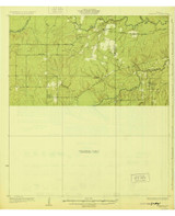 Calliham, Texas 1929 () USGS Old Topo Map Reprint 15x15 TX Quad 128496