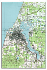 Manistee Lake Area 1982 - Custom USGS Old Topo Map - Michigan 2
