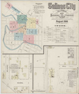 Salinas California 1886 - Fire Insurance Index - Old Map Reprint