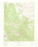 Cameron Mountain, Colorado 1956 (1974) USGS Old Topo Map Reprint 15x15 CO Quad 402226