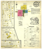 Arlington Texas 1917 - Fire Insurance Index - Old Map Reprint