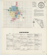 De Land Florida 1915 - Fire Insurance Index - Old Map Reprint