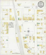 Lakeland Florida 1901 - Fire Insurance Index - Old Map Reprint