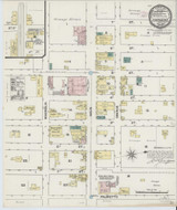 Leesburg Florida 1890 - Fire Insurance Index - Old Map Reprint