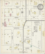 Monticello Florida 1890 - Fire Insurance Index - Old Map Reprint