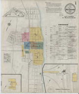 New Smyrna Florida 1916 - Fire Insurance Index - Old Map Reprint