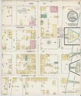 Sanford Florida 1887 - Fire Insurance Index - Old Map Reprint