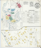 Allegan Michigan 1906 - Fire Insurance Index - Old Map Reprint