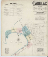 Cadillac Michigan 1884 - Fire Insurance Index - Old Map Reprint