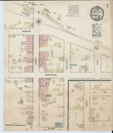 Fenton Michigan 1884 - Fire Insurance Index - Old Map Reprint