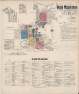 Iron Mountain Michigan 1923 - Fire Insurance Index - Old Map Reprint