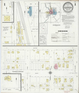 Marion Michigan 1929 - Fire Insurance Index - Old Map Reprint