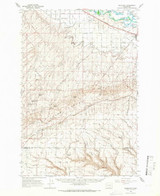 Bluelight, Washington 1965 (1966) USGS Old Topo Map Reprint 15x15 WA Quad 240129