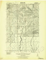 Satsop, Washington 1921 (1921) USGS Old Topo Map Reprint 15x15 WA Quad 243581