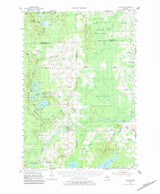 Hillman, Michigan 1955 (1984) USGS Old Topo Map Reprint 15x15 MI Quad 278198