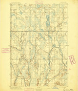 Ned Lake, Michigan 1895 (1895) USGS Old Topo Map Reprint 15x15 MI Quad 278365