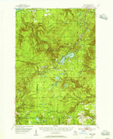 Winona, Michigan 1954 (1956) USGS Old Topo Map Reprint 15x15 MI Quad 278598