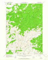 Izee, Oregon 1961 (1963) USGS Old Topo Map Reprint 15x15 OR Quad 282610
