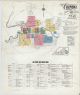 Pulaski Virginia 1920 - Fire Insurance Index - Old Map Reprint