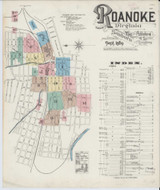 Roanoke Virginia 1889 - Fire Insurance Index - Old Map Reprint