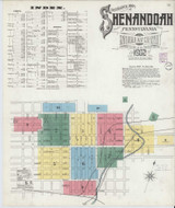 Shenandoah Pennsylvania 1902 - Fire Insurance Index - Old Map Reprint