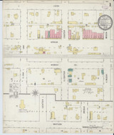 Forrest Illinois 1893 - Fire Insurance Index - Old Map Reprint