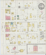 Thomaston Georgia 1895 - Fire Insurance Index - Old Map Reprint