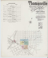 Thomasville Georgia 1889 - Fire Insurance Index - Old Map Reprint