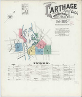 Carthage New York 1895 - Fire Insurance Index - Old Map Reprint