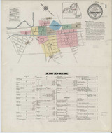 Frankfort New York 1914 - Fire Insurance Index - Old Map Reprint