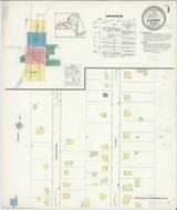 Livonia New York 1913 - Fire Insurance Index - Old Map Reprint