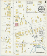 Morrisville New York 1906 - Fire Insurance Index - Old Map Reprint
