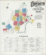 Oneonta New York 1905 - Fire Insurance Index - Old Map Reprint