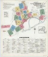 Oneonta New York 1916 - Fire Insurance Index - Old Map Reprint