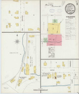 Ovid New York 1898 - Fire Insurance Index - Old Map Reprint