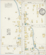 Schenevus New York 1892 - Fire Insurance Index - Old Map Reprint