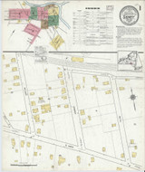 Sidney New York 1917 - Fire Insurance Index - Old Map Reprint