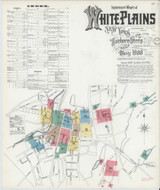 White Plains New York 1900 - Fire Insurance Index - Old Map Reprint