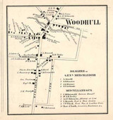 Woodhull Village, Woodhull, New York 1857 Old Town Map Custom Print - Steuben Co.