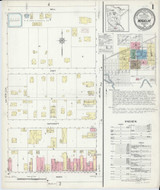 Madelia Minnesota 1914 - Fire Insurance Index - Old Map Reprint