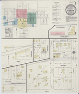 Plainview Minnesota 1910 - Fire Insurance Index - Old Map Reprint